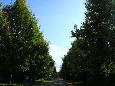 c0153740_4215511.jpg