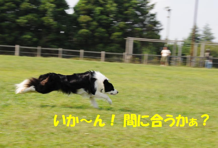 c0147241_8182953.jpg
