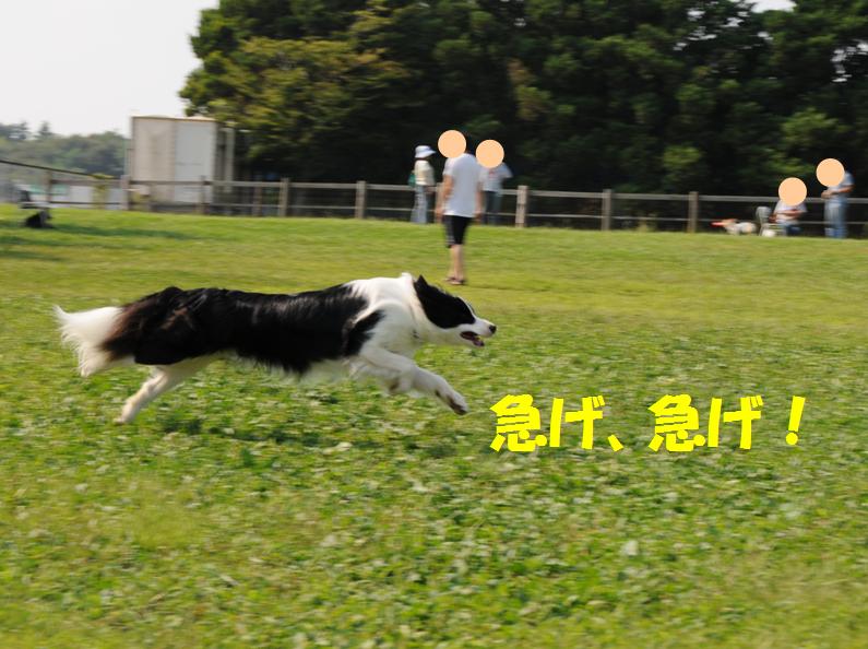 c0147241_862228.jpg