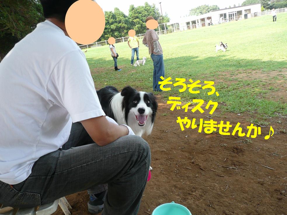 c0147241_86423.jpg