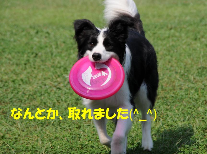 c0147241_864578.jpg