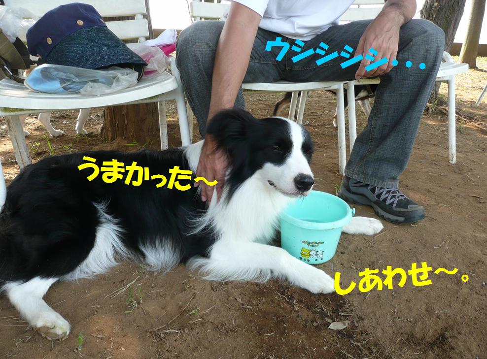 c0147241_871593.jpg