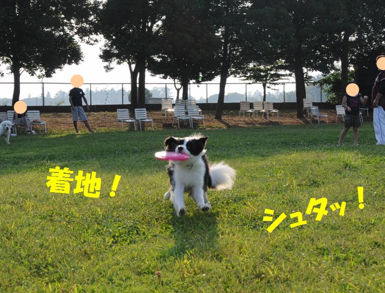 c0147241_875898.jpg