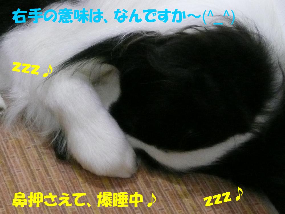 c0147241_881634.jpg
