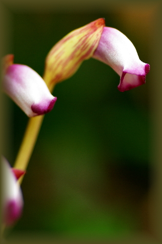 b0130243_17325636.jpg