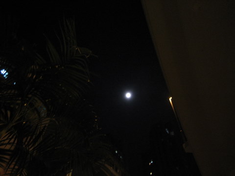 e0018143_4154673.jpg