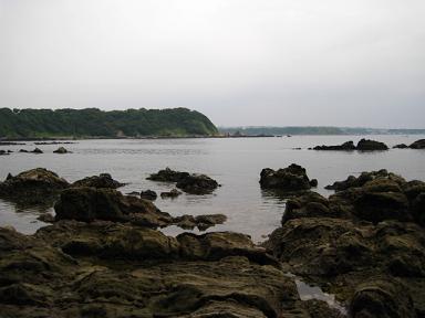 f0005043_21264099.jpg