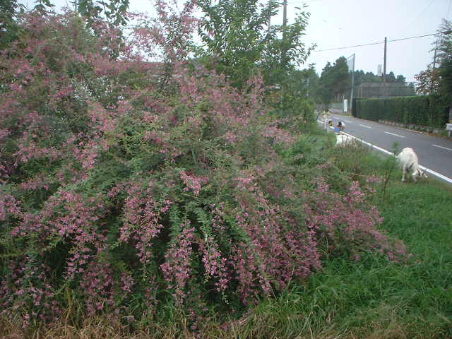 a0061845_2217163.jpg