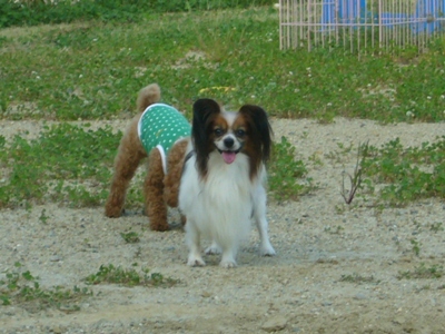 e0100046_1556429.jpg