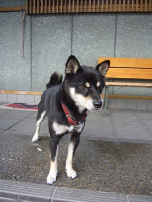 e0100046_1616754.jpg