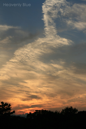 e0145646_14543259.jpg