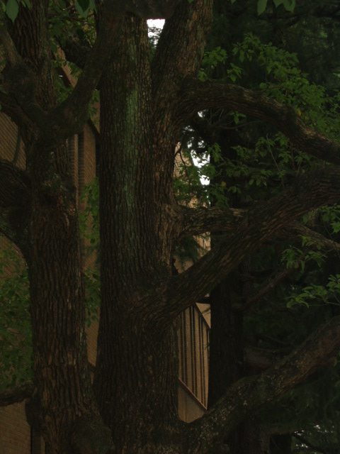 f0183546_18394991.jpg