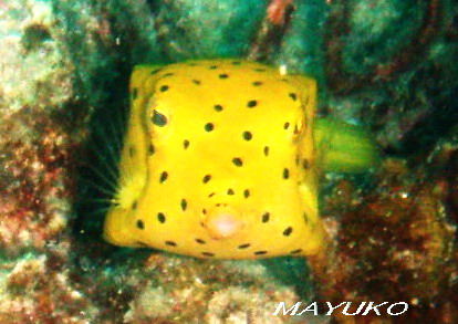 e0027447_20304791.jpg