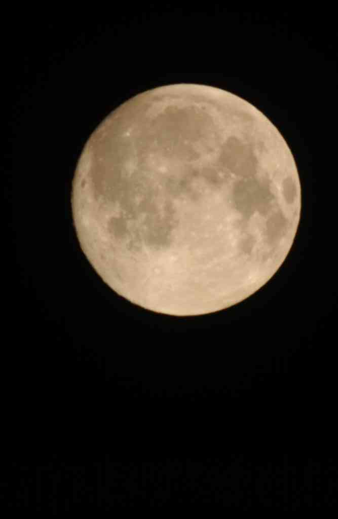 b0029350_0374054.jpg