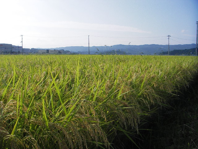 a0079652_0174186.jpg
