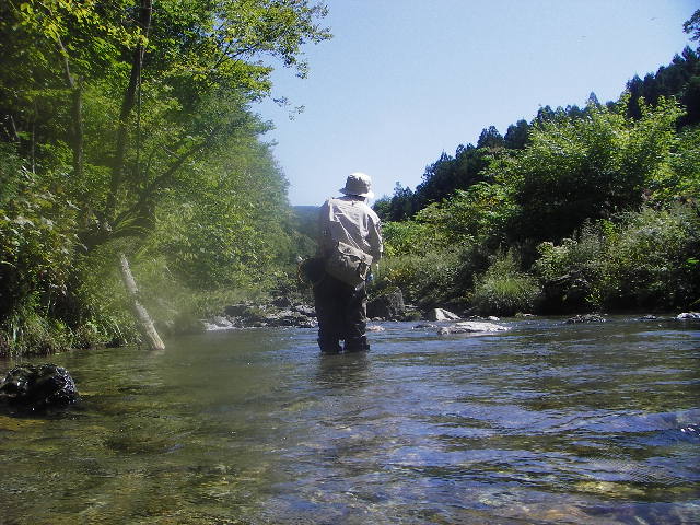 a0079652_0201043.jpg
