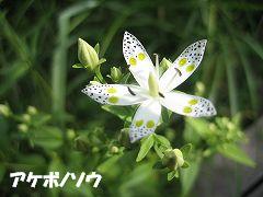 d0031853_1481979.jpg