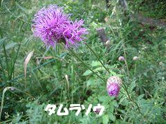 d0031853_334925.jpg