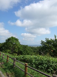 e0131153_1181265.jpg