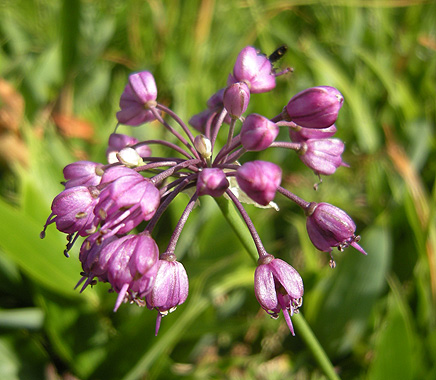 a0001354_2034455.jpg