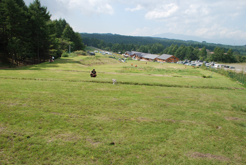 f0140454_17232853.jpg