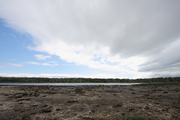 e0122855_11305141.jpg