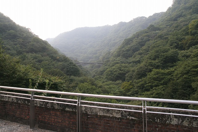 b0002858_20145063.jpg