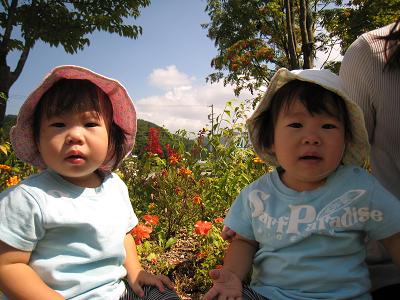 f0046262_20201086.jpg