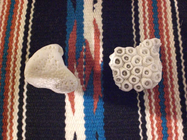 a0108963_14225942.jpg
