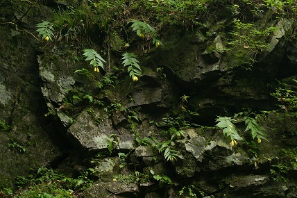 e0054067_21343128.jpg