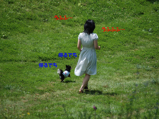 f0065768_17312350.jpg