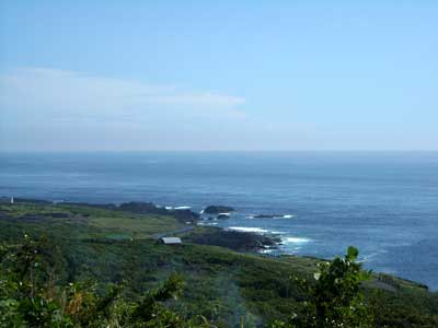 e0097770_1744172.jpg