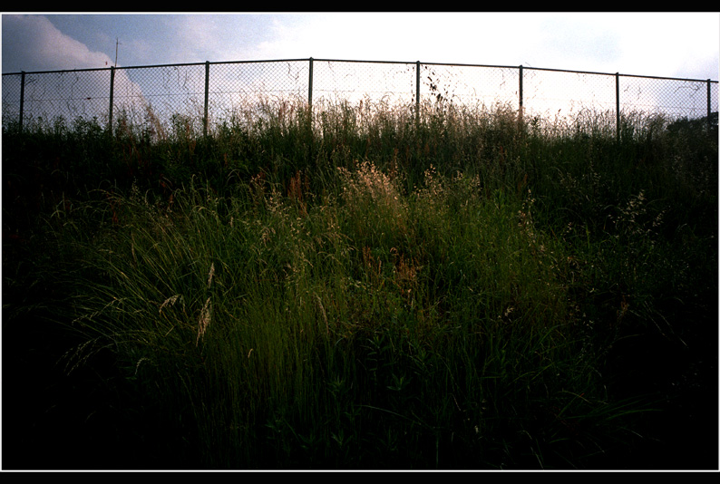 c0168172_075554.jpg