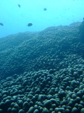 b0033573_214224.jpg