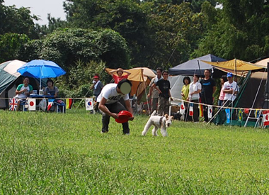 b0091373_13315732.jpg