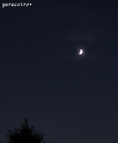 b0140877_2150363.jpg