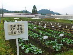 b0042882_2354483.jpg