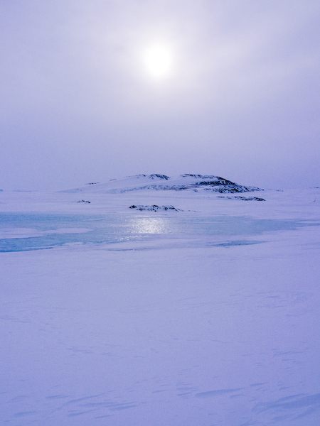 a0053783_5105346.jpg