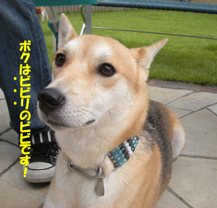 e0066883_20425468.gif