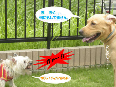 e0066883_20512760.gif