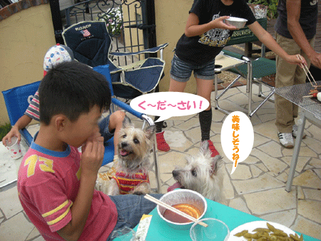 e0066883_20515475.gif