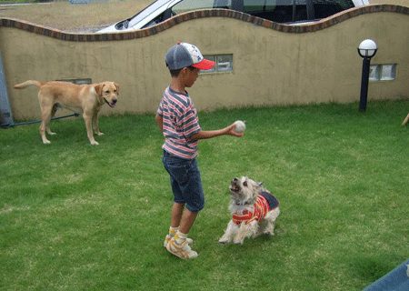 e0066883_21183353.gif