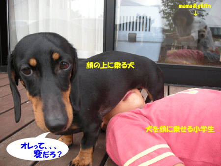 e0066883_21192672.gif