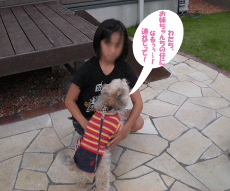 e0066883_21212243.gif