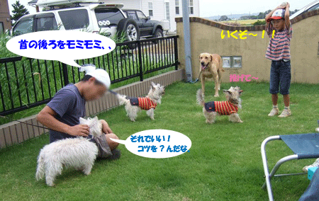 e0066883_2161517.gif