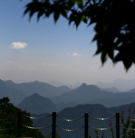 a0082787_22324780.jpg