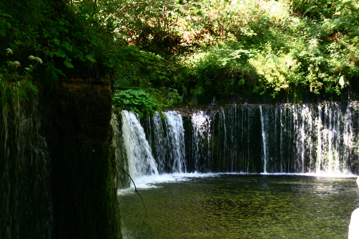 a0082787_23421937.jpg