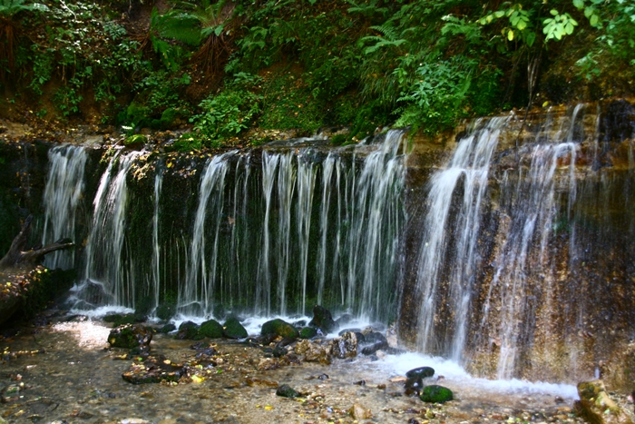 a0082787_23503549.jpg
