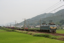 b0114392_17405388.jpg