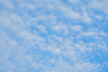 f0136098_17333016.jpg